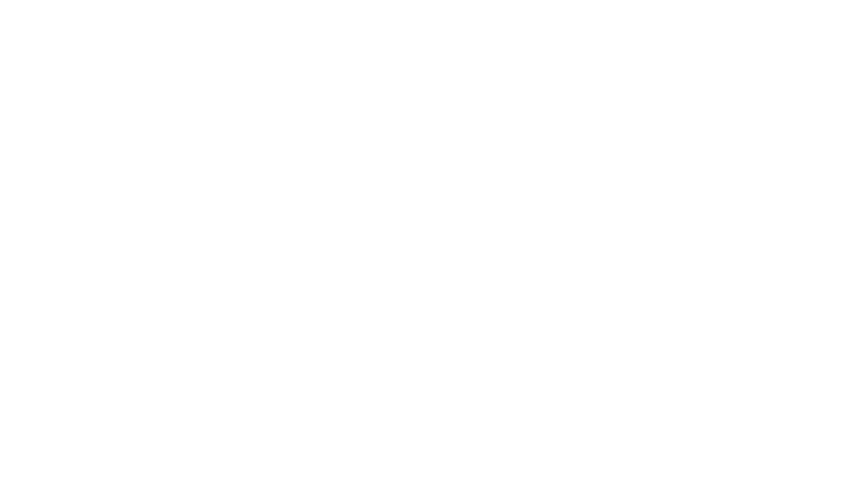 Logotipo de Bluva Agencia SEO Manacor